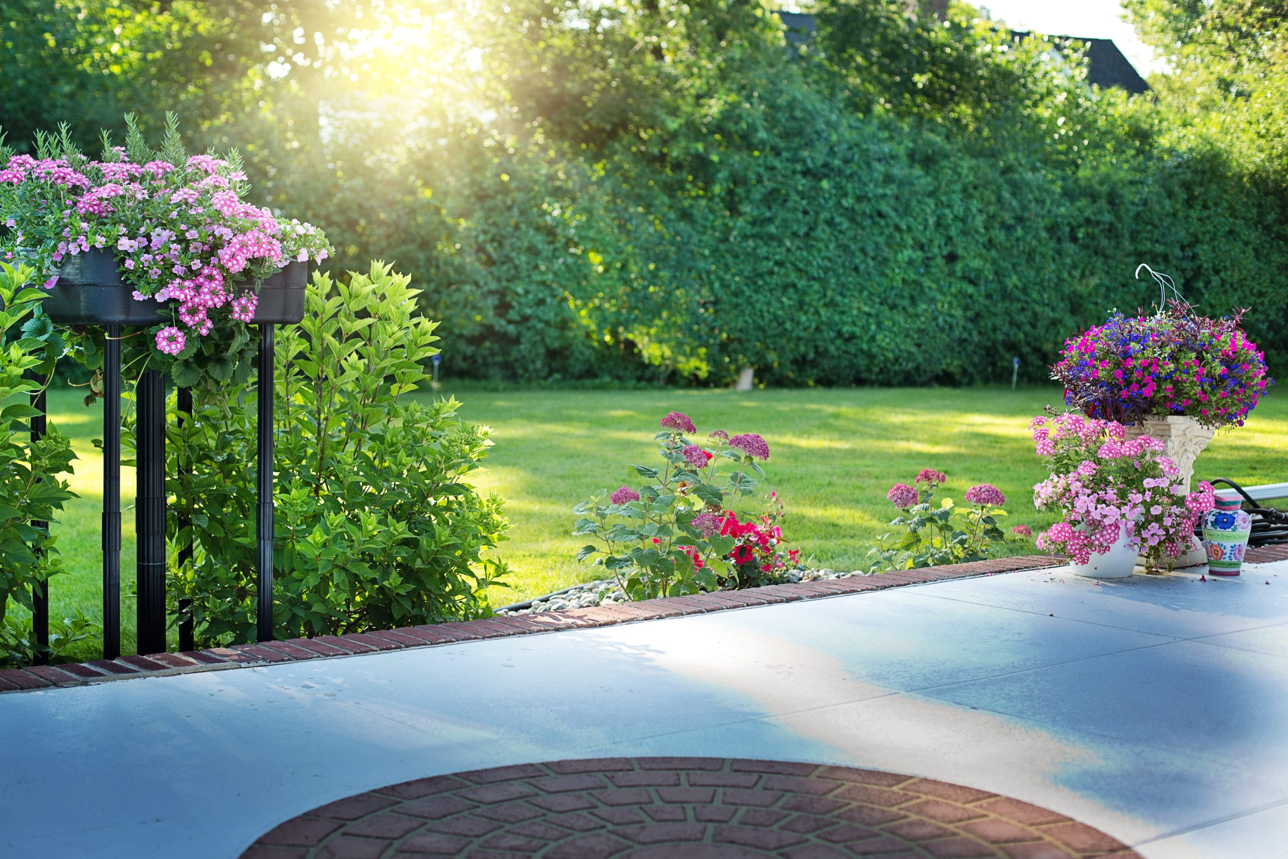 Header Achtertuin