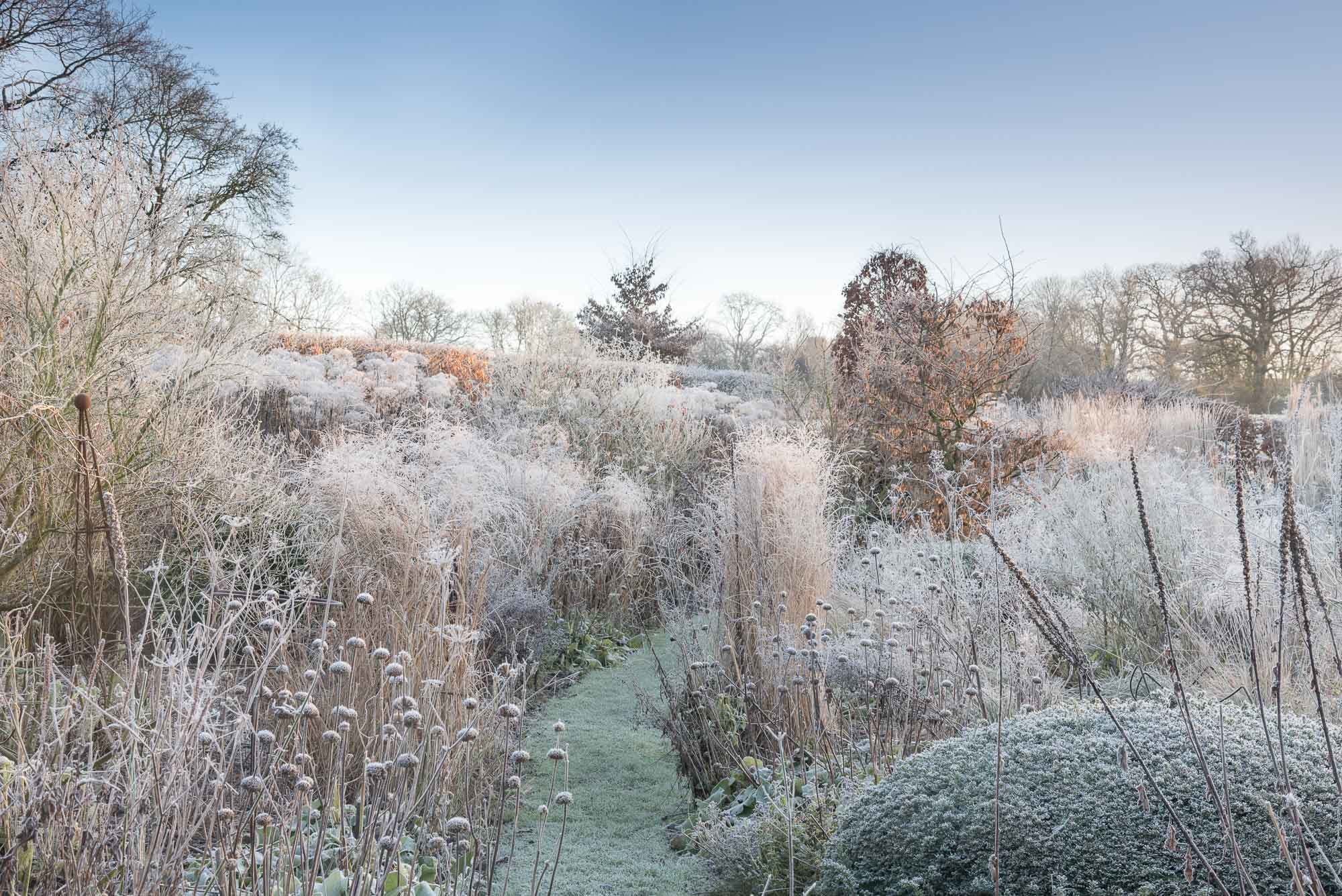 Silver Street Farm, January, Devon.